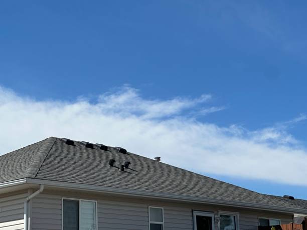 Fast & Reliable Emergency Roof Repairs in Shelbyville, IN